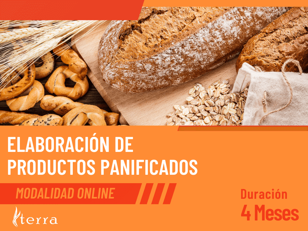 elaboracion de productos panificados