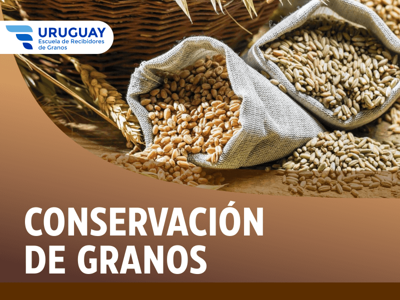 Conservación de Granos