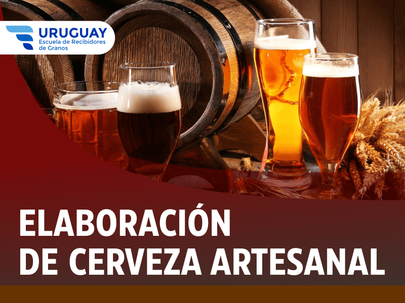 cerveza artesanal