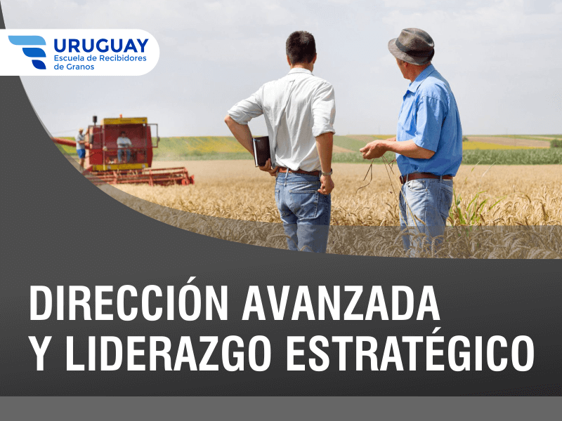 Dirección Avanzada y Liderazgo Estratégico