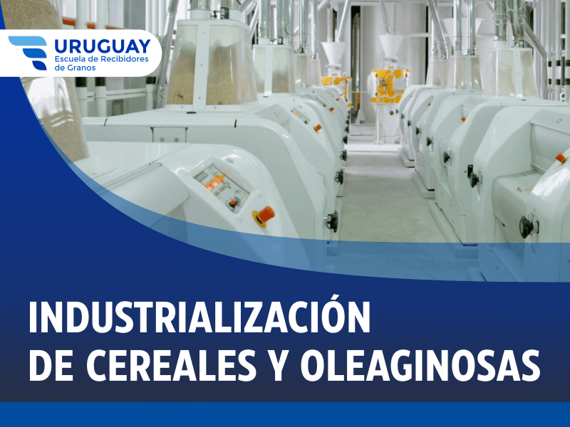 Industrialización de Cereales y Oleaginosas