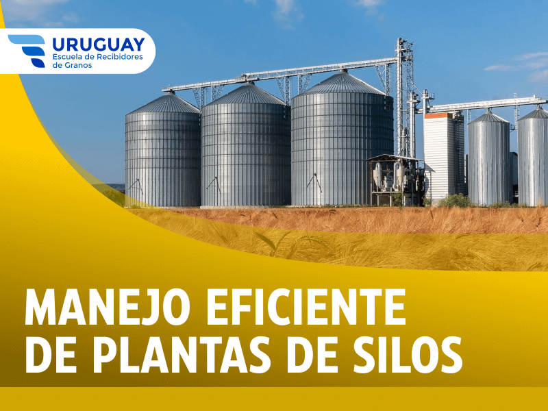 Manejo Eficiente de Plantas de Silos