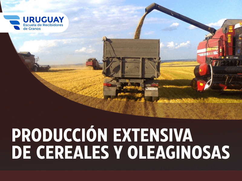 Producción Extensiva de Cereales y Oleaginosas