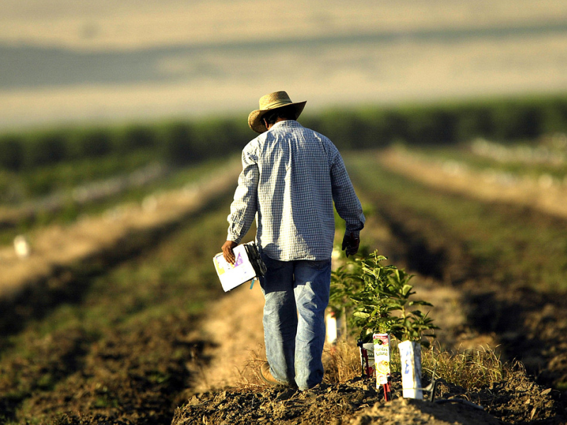 Día del Trabajador Rural