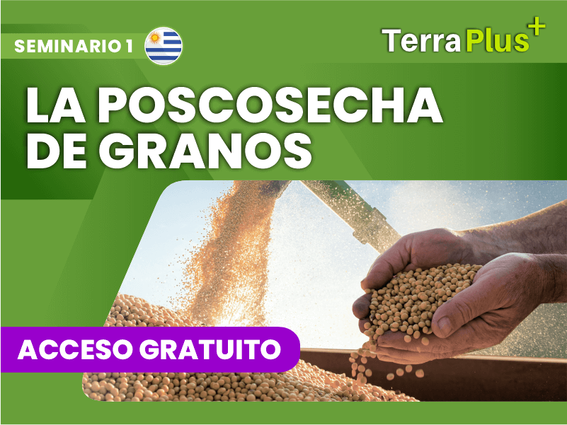 la poscosecha de granos