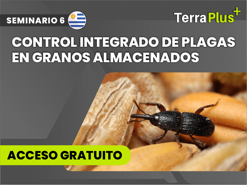 CONTROL INTEGRADO DE PLAGAS EN GRANOS ALMACENADOS