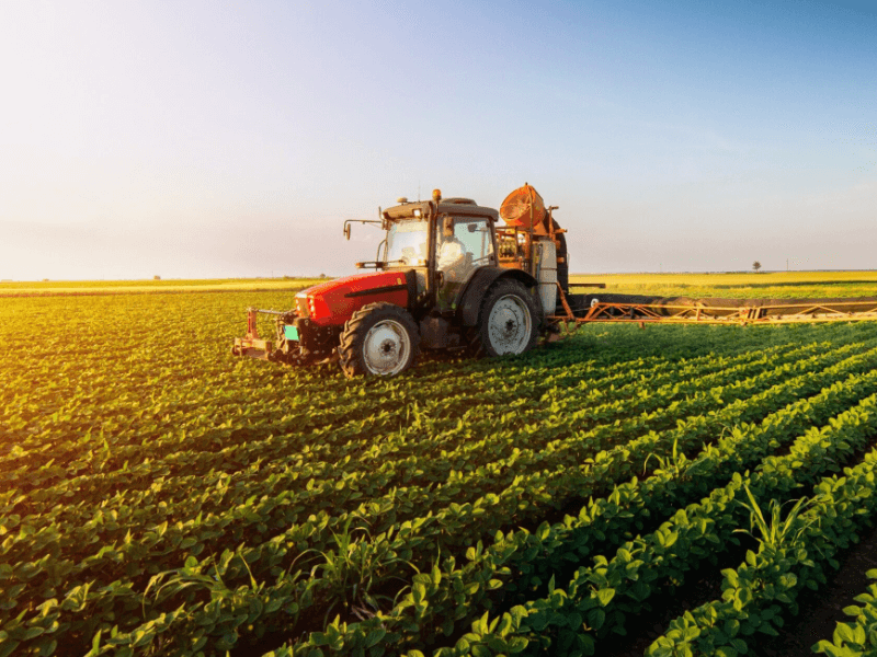 Agricultura Uruguay