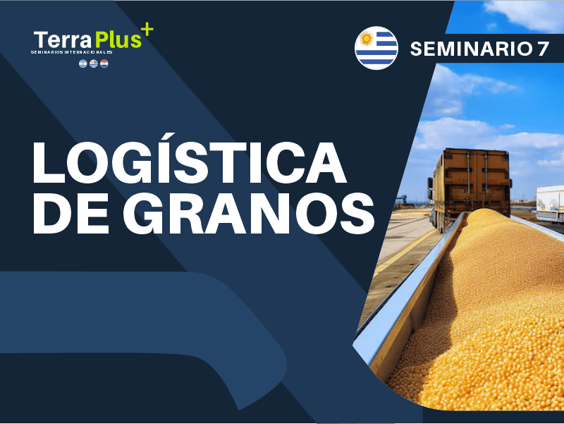 logistica de granos