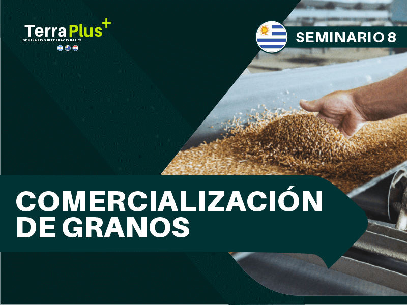 Comercialización de Granos