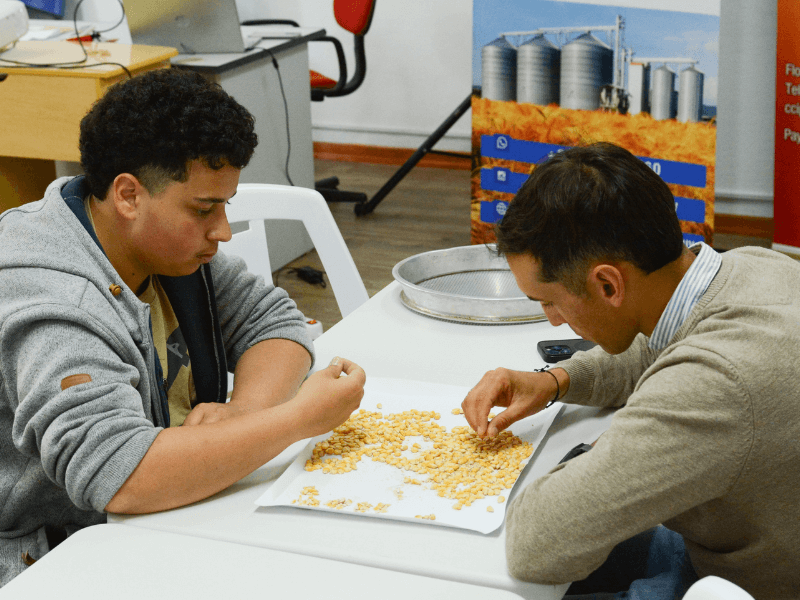 Escuela recibidores de Granos