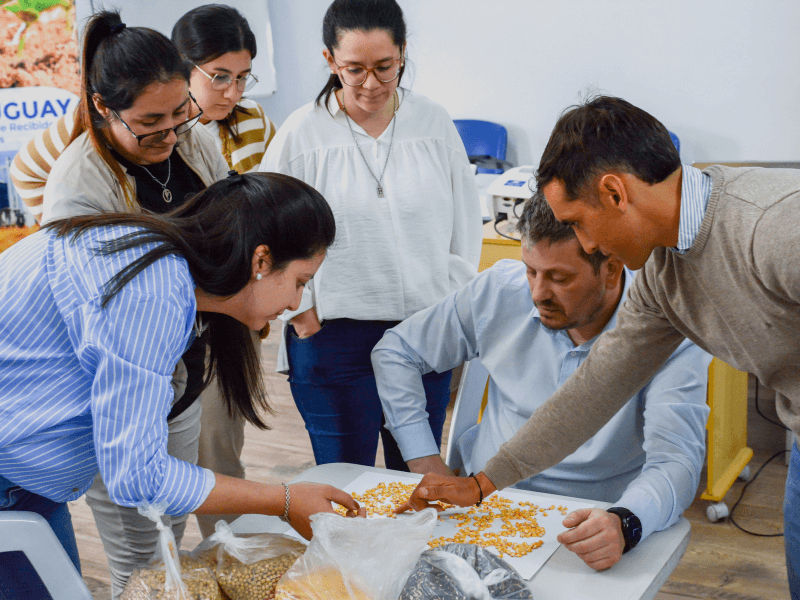 Escuela recibidores de Granos