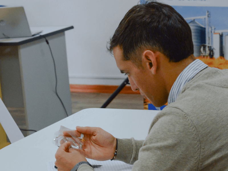 Escuela recibidores de Granos