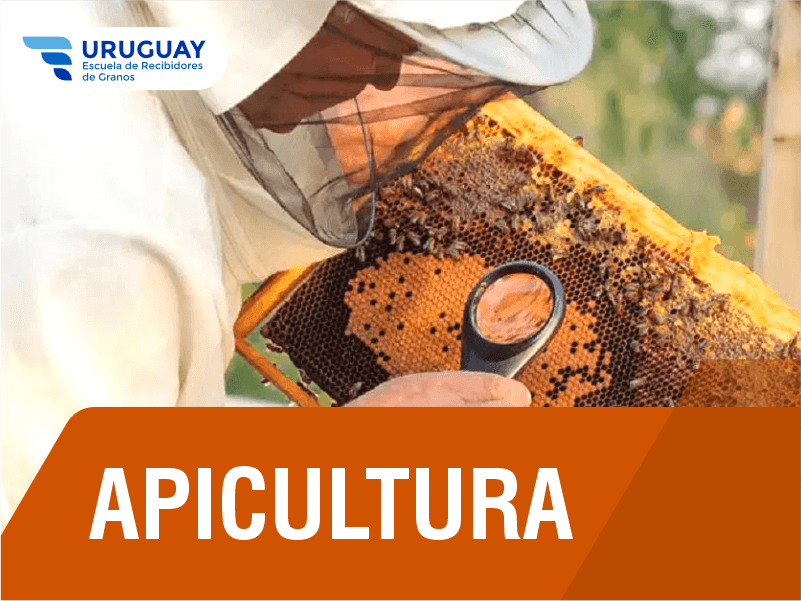 UY Encab Cursos Apicultura