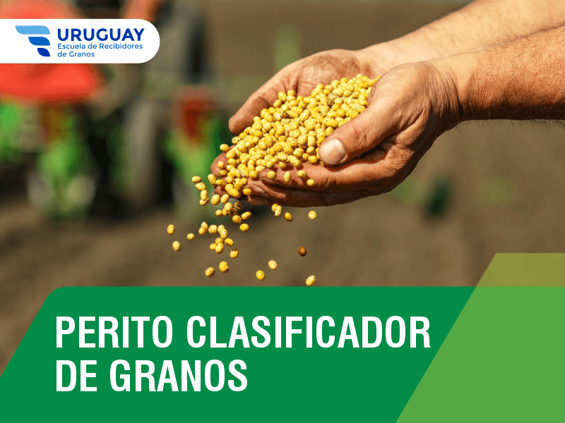 UY Encab Cursos Perito Clasif Granos