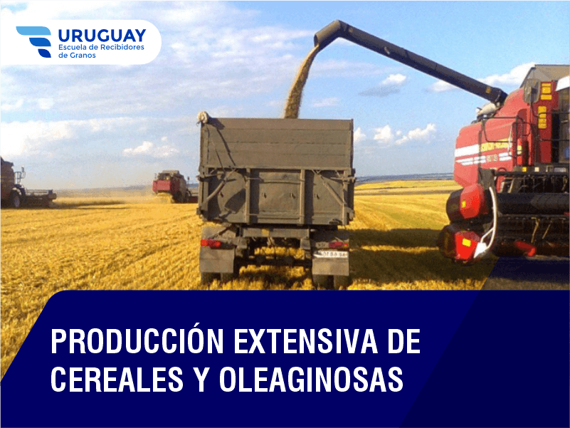 UY Encab Cursos Prod