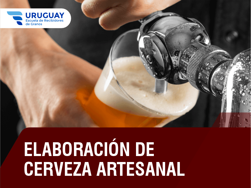 UY Encab Cursos cerveza